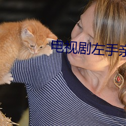 電視劇左手親情右手愛在線
