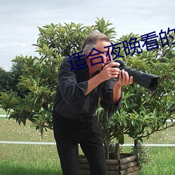 適合夜晚看的直播