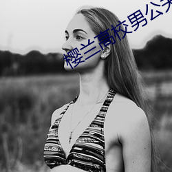 樱兰高校男公关部