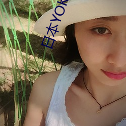 日本yokogawa
