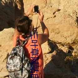 三叶(yè)草网(wǎng)站自动(dòng)跳转app