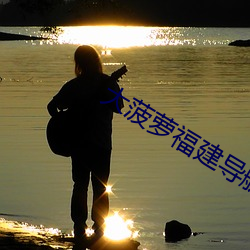 大菠萝福建导航18勿进