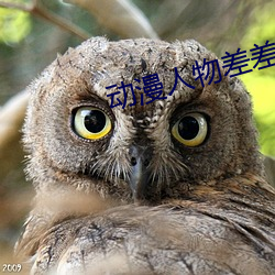 動漫人物差差差動漫免費看