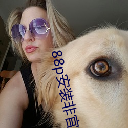 88p安(安)装非官方