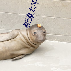 新津太平洋(yáng)电影院