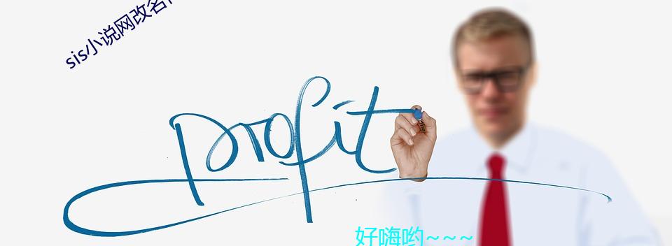 sis小说网改名什么了