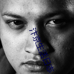 汴京生活日志