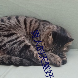 男人的天堂好色鬼