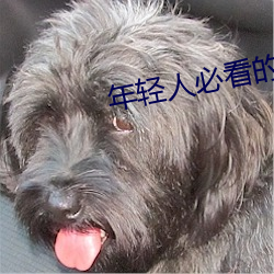 年輕人必看的十大網站推薦