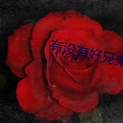 有没有好兄弟分享网站