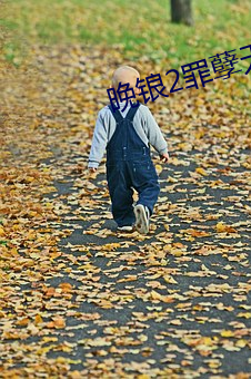 晚锒2罪孽无删在线观看