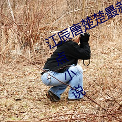 江辰唐楚楚最新全文(wén)免费阅读小说顶点小说