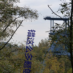 错这(這)么多题(題)够c一天了