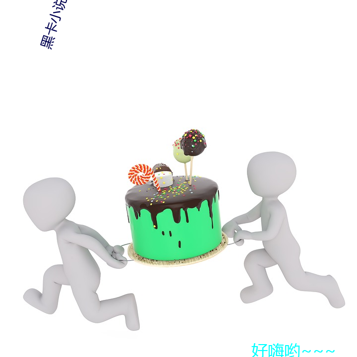 黑卡小说