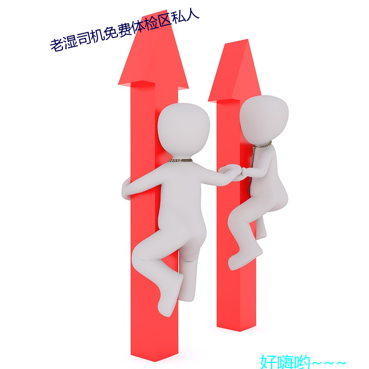 老(老)湿司机免费(費)体检区私人