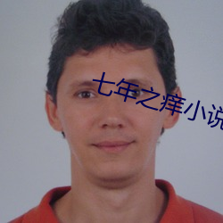 七年之癢小說