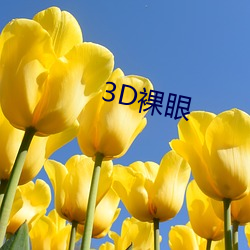3d裸眼