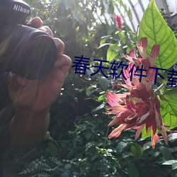 春天软件下载app