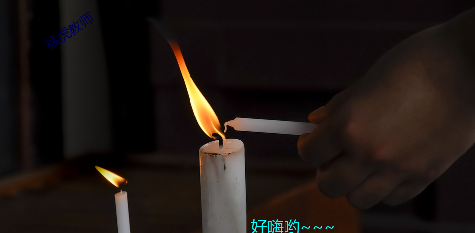 猛虎教師