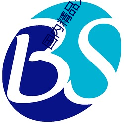 國內精品久久久久久久久久影視