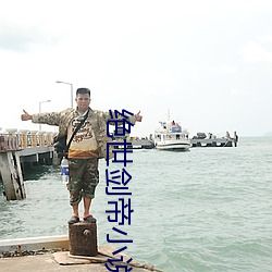 絕世劍帝小說