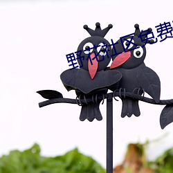 野花(huā)社区免费观看(kàn)在线(xiàn)5