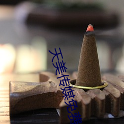 天美传媒免费观看mv在线观看