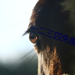 一二三四免费中文(wén)在线(xiàn)7