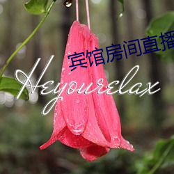 宾馆房间直播app