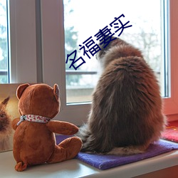 名福妻实