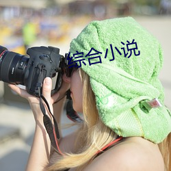 综合小说(說)