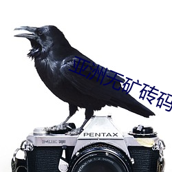 亚(亞)洲(洲)无矿(礦)砖码专区2022