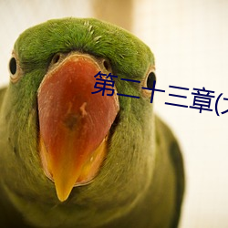 第二十三章(大結局)