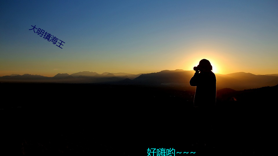 大明镇海王