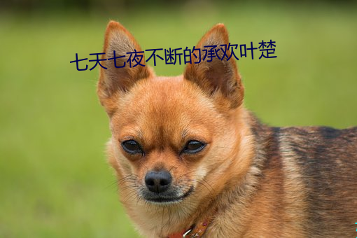 七天七夜不斷的承歡葉楚