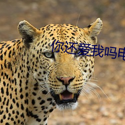 你还爱我吗电影在线观看