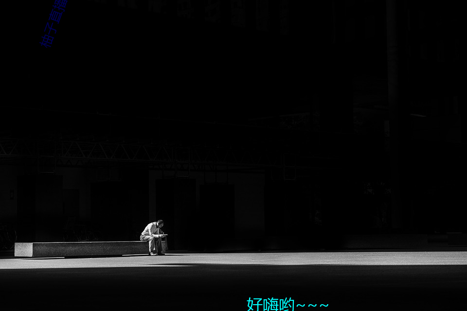 柚子直播在(zài)线下载安(ān)装地址