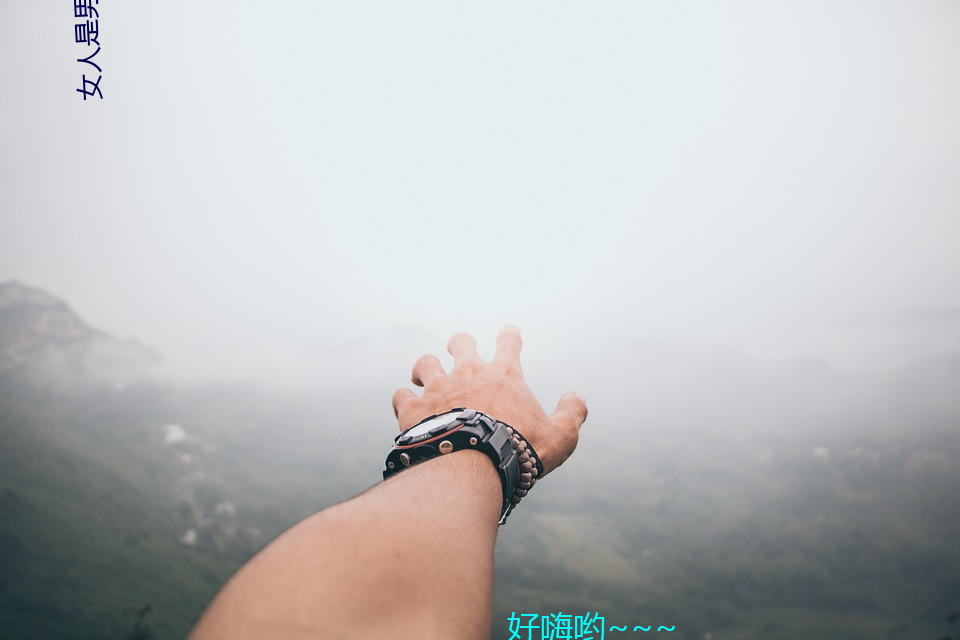 女人(人)是男的人(人)未来1分(分)54分