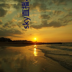 sky直播app下载链接