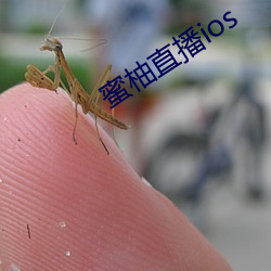 蜜柚直播ios