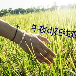 午夜dj在线观(guān)看视频下载