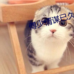 傅(傅)少情谋已久
