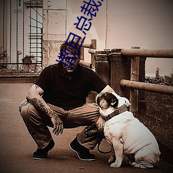 撒(sā)旦总裁追逃妻