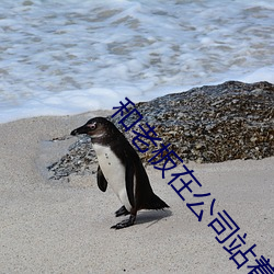 和老板在公司站着打扑克