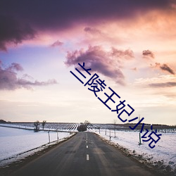 兰(蘭)陵王妃小(小)说(說)