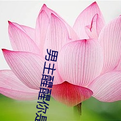 男主醒醒你是女主的
