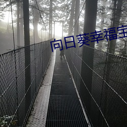 向日葵幸福宝尊龙凯时app官网在线打开
