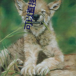 可以直接進入網站的正能量