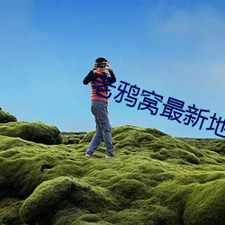 老鸦(yā)窝最(zuì)新地域网名