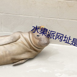 水(shuǐ)果派网址是哪(nǎ)个